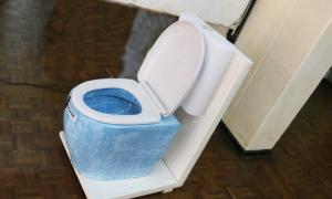 Ngisi ceramic Toilet prototype 1